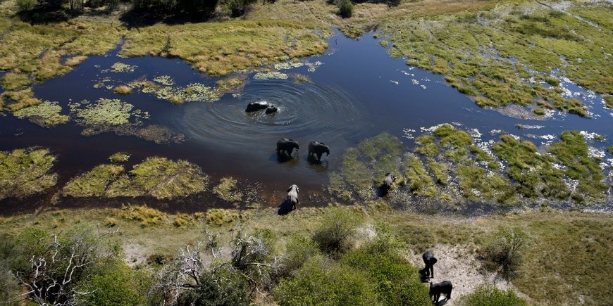 3 Okavango-delta