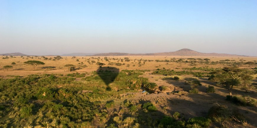 Udsigt over Serengeti