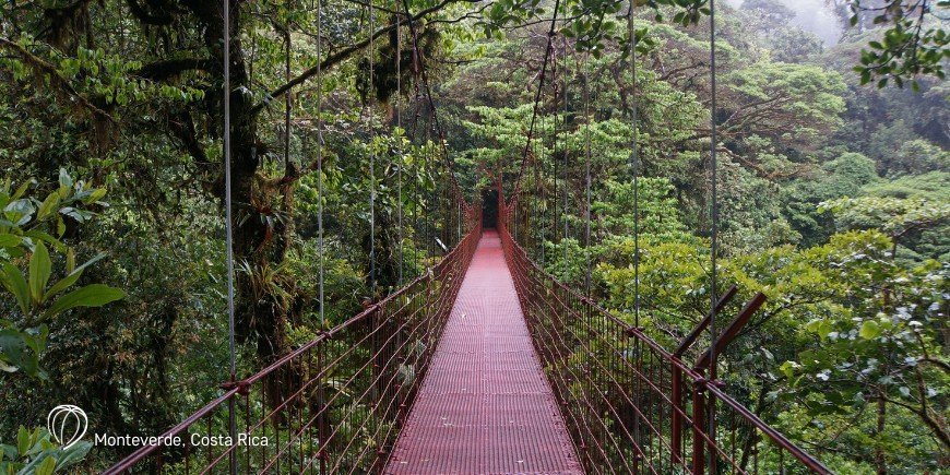 Monteverde Cloud Forest i Costa Rica